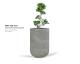 terra_high_bowl_-_ficus_bonsai_plant