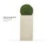 ONET square high SAND - BUXUS plant